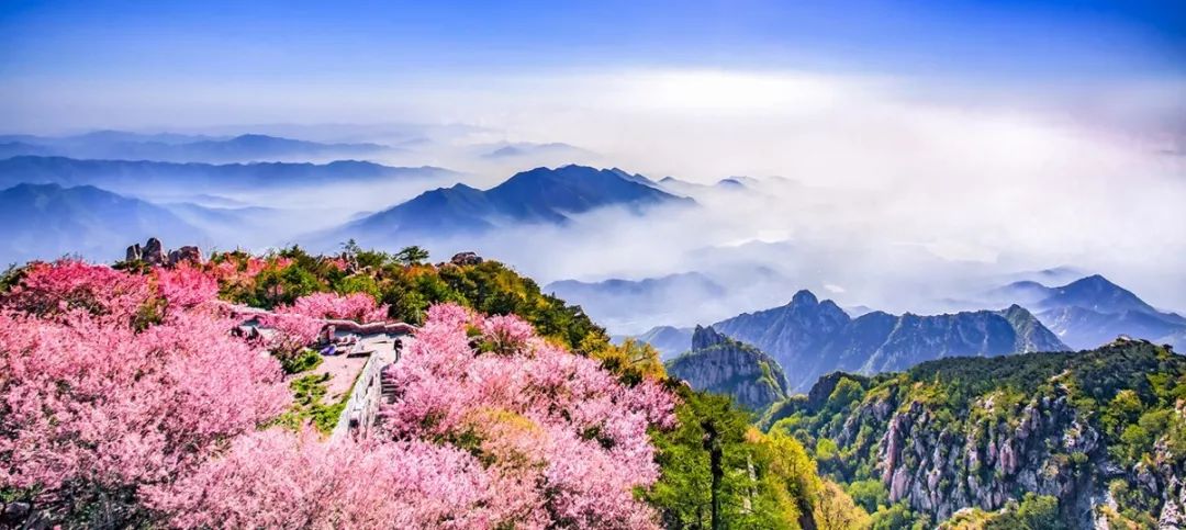 泰山登山证能去哪些地方免费,爬泰山什么证件可以免费