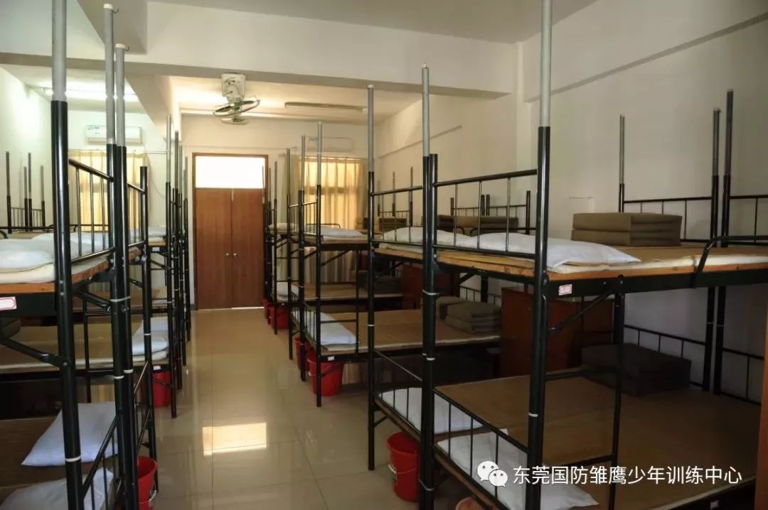 东莞报业夏令营,东莞雏鹰少年夏令营多少钱