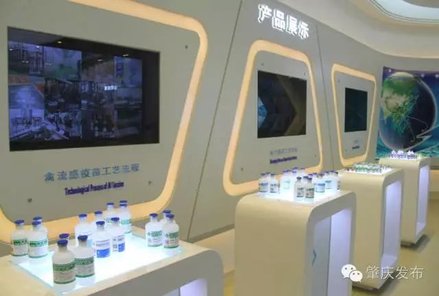 肇庆最吸引人的是什么,肇庆吸引力