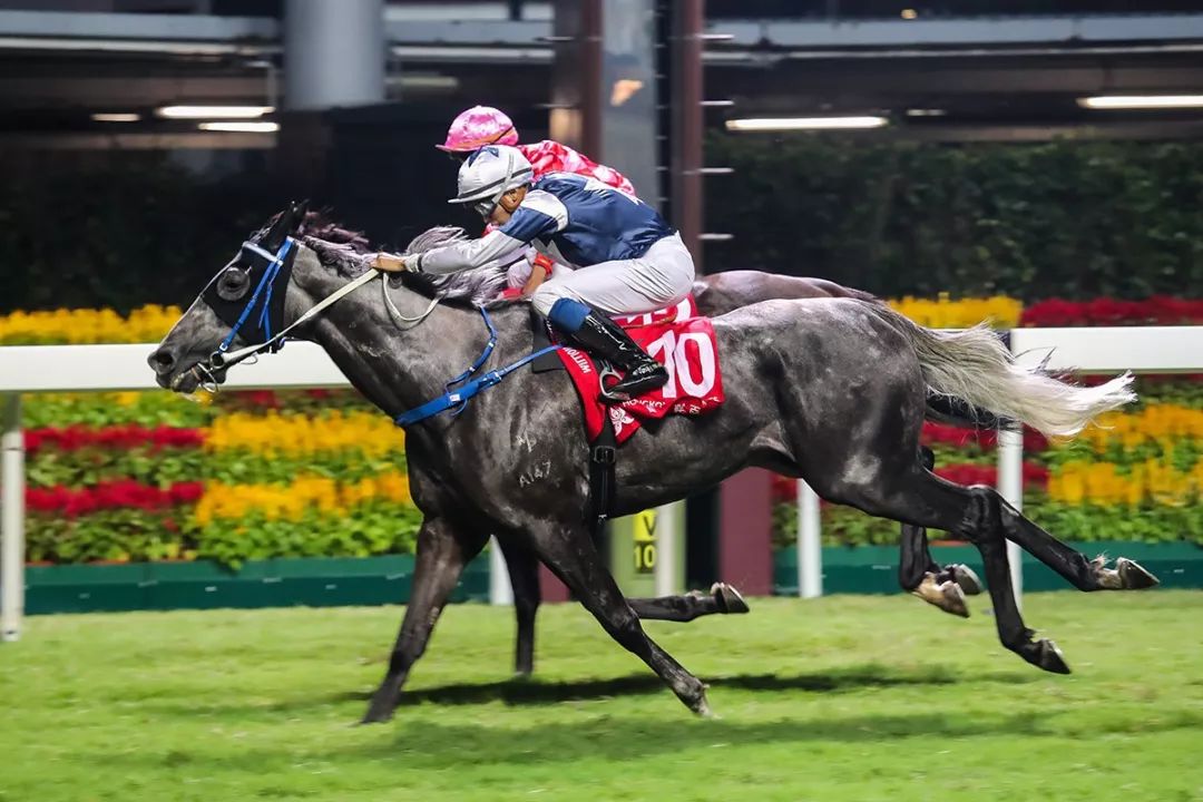 国际马术大师赛浪琴表,国际骑师香港锦标赛