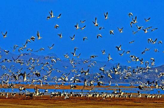 威宁草海一日游最佳攻略,威宁草海之旅