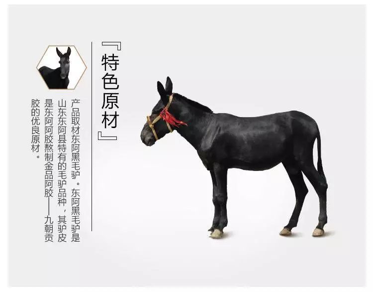 阿胶冬季滋补正当时,阿胶冬季滋补季