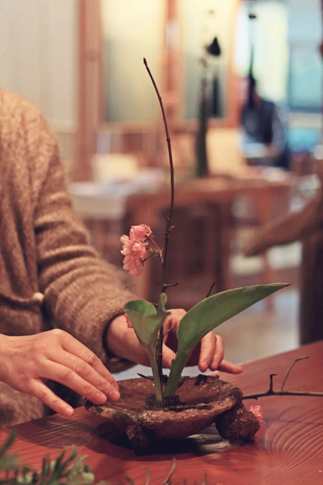 闲时赏花听歌静时看书喝茶,一处悠闲安静的好去处