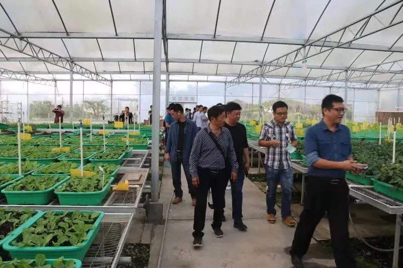 福贡县考察团来了，去了白蕉这些地方……