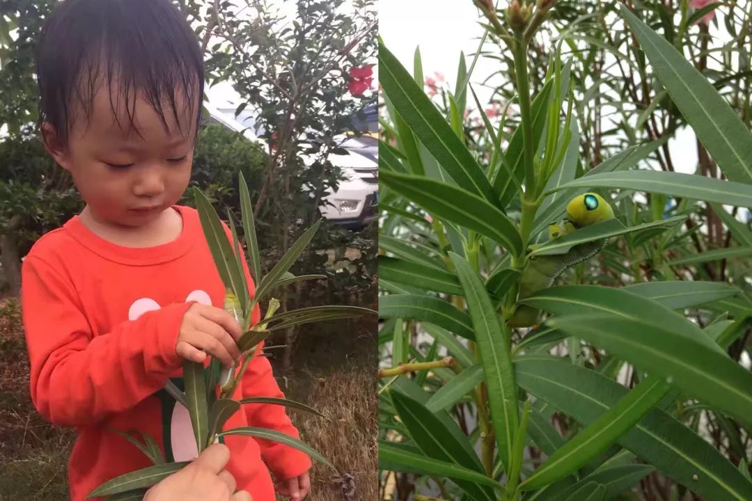 双12给宝宝囤的宝宝用品,双12什么东西适合宝宝囤