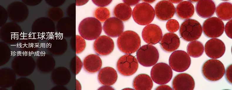 我强烈推荐这款面膜英文,适合黄皮用的美白面膜