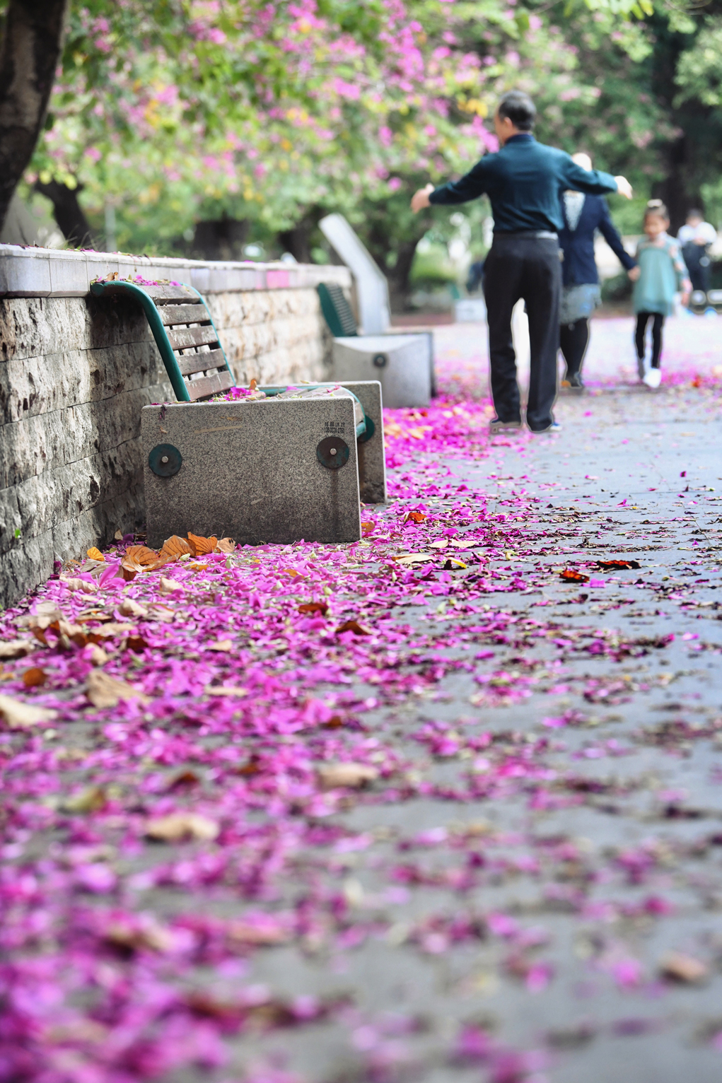 盘点那些美丽的校园时光,盘点那些美丽的校园