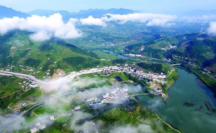 有了绿牌还能拥有大牌,有了绿牌再去拍蓝牌