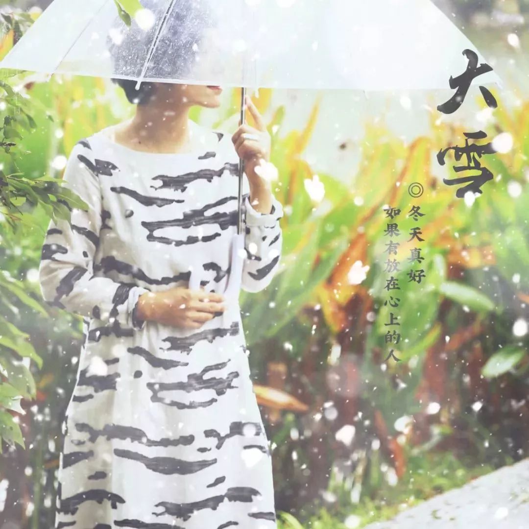 喜欢雪小禅的句子,雪小禅世间最美的相遇