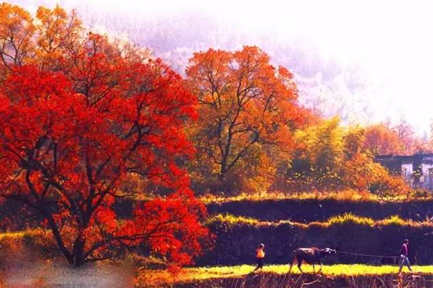 鍚勮矾鑻遍泟濂芥眽榻愯仛浜庢鐗囨,鍚勮矾鑻遍泟濂芥眽榻愯仛鍦ㄦ