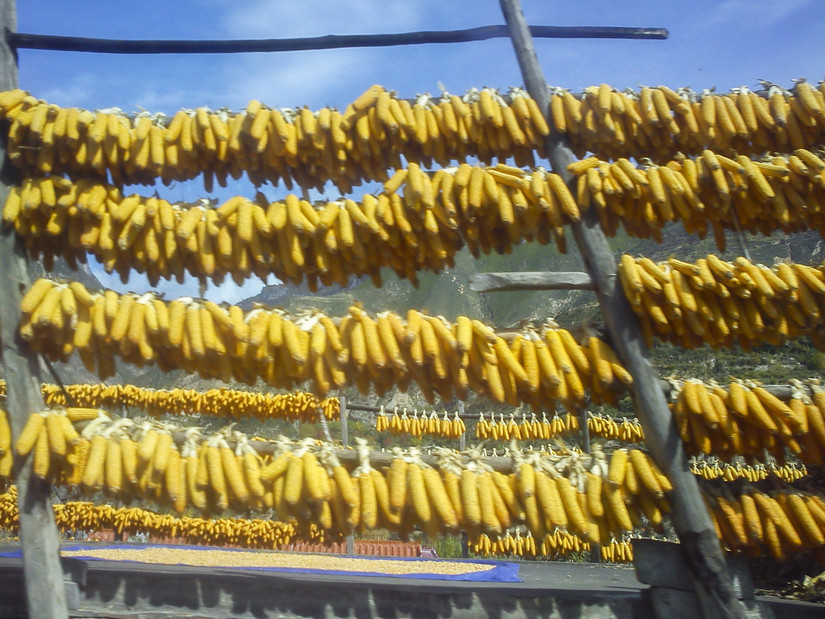 嘿！让我来说说我的旅途