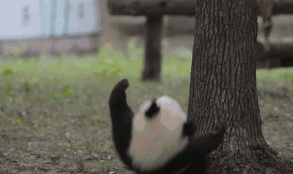 最新昆明电子眼,昆明空港大道电子眼启用了没