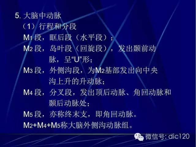 脑血管解剖技巧,脑血管解剖与介入