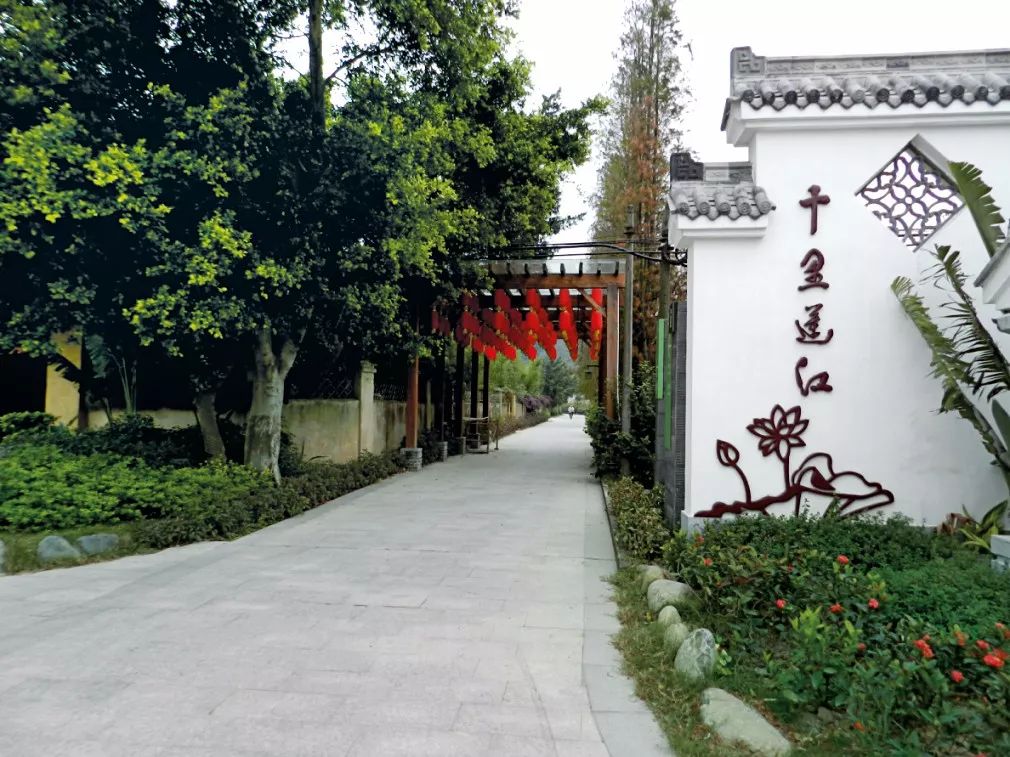 导游介绍地方,斗门区导游