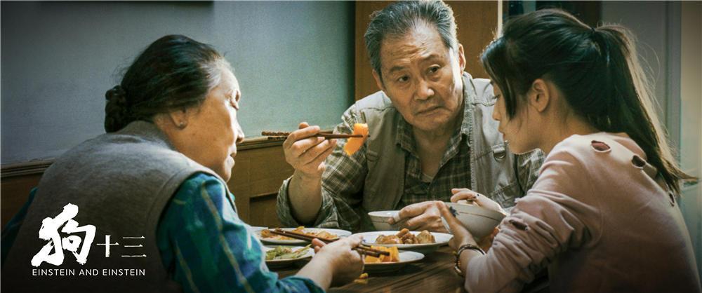 狗十三家庭教育问题,狗十三从童年到成年的故事