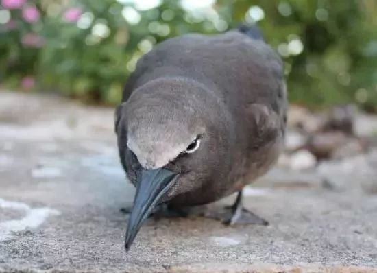 双十二没有大额券吗,双十二没有1200的优惠券吗