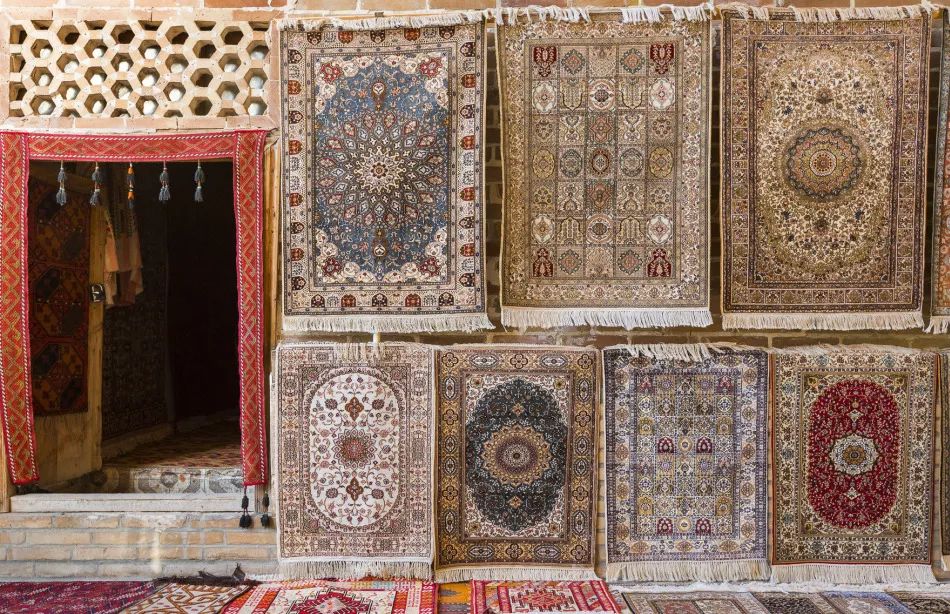 2019年，你应该去亚寒带看看