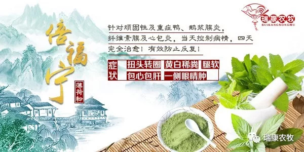 鸭鹅病最新治疗方法,鸭鹅最怕什么病