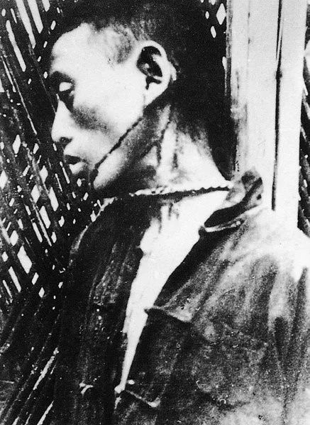 *京大南***杀屠**和我有什么关系?