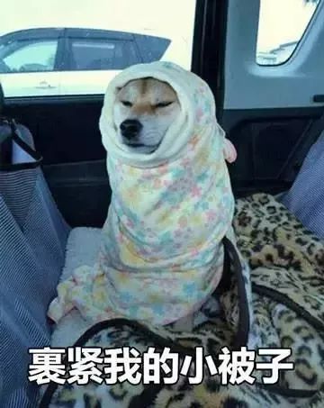 大连吃火锅,大连火锅盘点