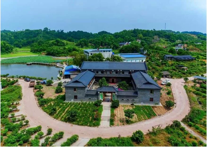 石蟆橄榄节,2019年石蟆广场橄榄节