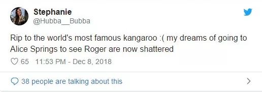 澳大利亚袋鼠手撕铁桶,袋鼠徒手捏爆铁桶