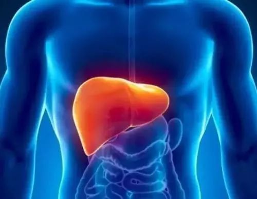 2022年后最早上市的乙肝治愈新药,乙肝新药2022年有希望治好乙肝吗