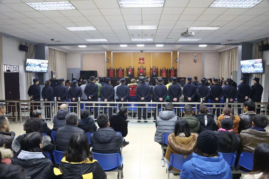 庭审直击5完整版,法院一审公开宣判诈骗案