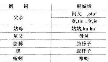 中国最难懂的方言徽州,安徽方言最难懂的方言绩溪话