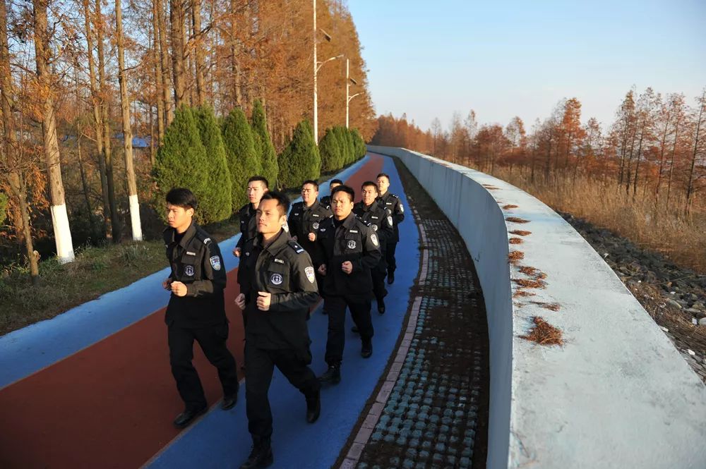 巡特警大练兵实战视频,上海金山分局特警冬季大练兵