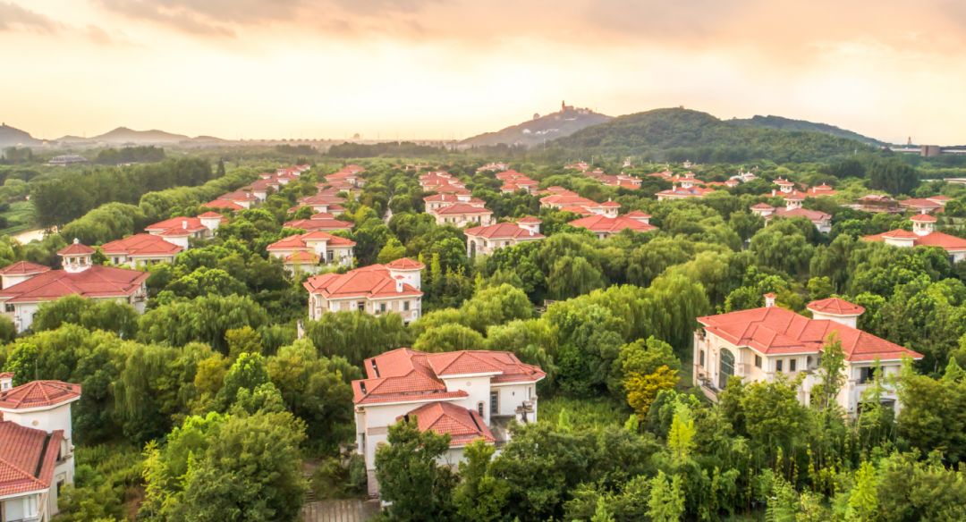 被遗忘了的落叶,被遗忘了的奔驰