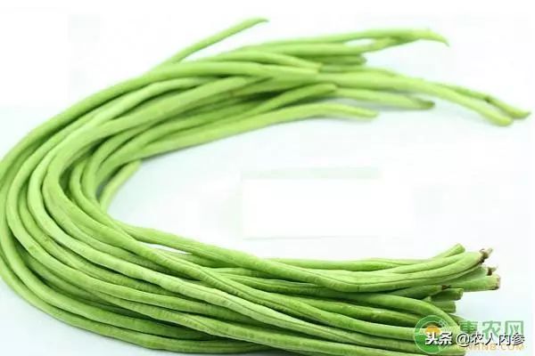 8月12日农产品批发价格,5月11日农产品批发价格