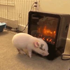 每日一笑你觉得哪个更好笑,每日一笑差距