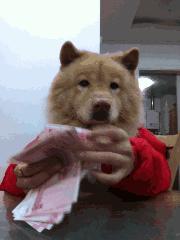 每日一笑你觉得哪个更好笑,每日一笑差距