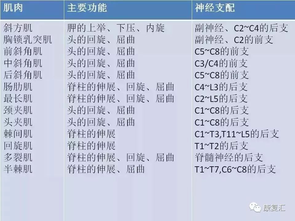 神经康复的治疗,神经松动术治疗什么