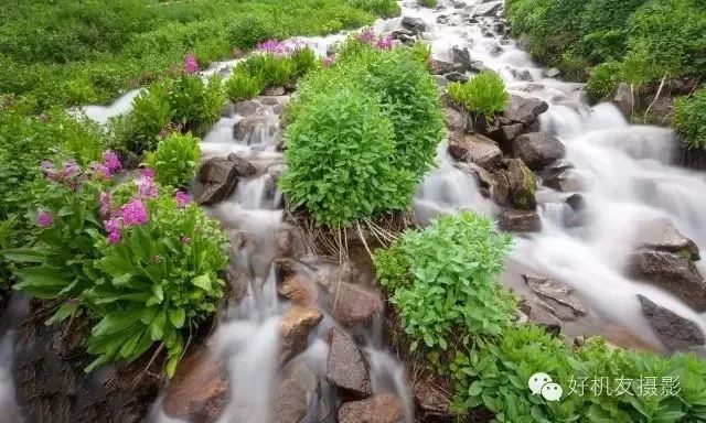 如何选购单反三脚架,捷信三脚架选购
