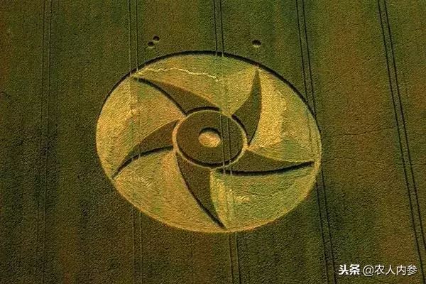 农业与艺术,农业可以很艺术