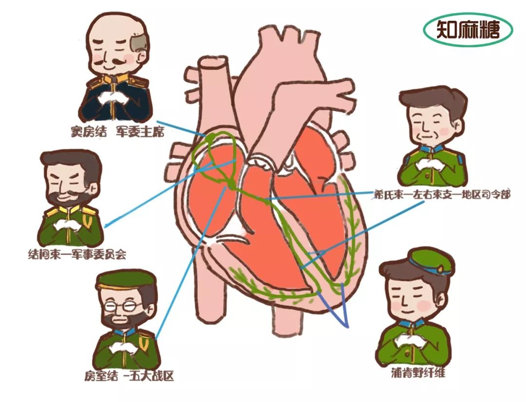 糟了是心动的感觉免费观看,糟了是心动的感觉原版