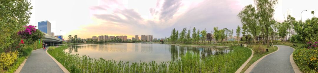 超美！40位摄影师镜头下的成都高新