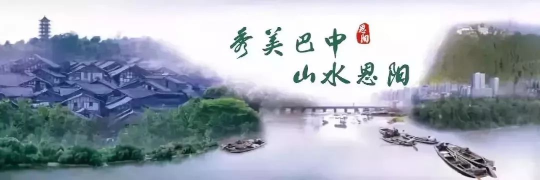 恩阳高考成绩喜报2023,恩阳高考成绩喜报