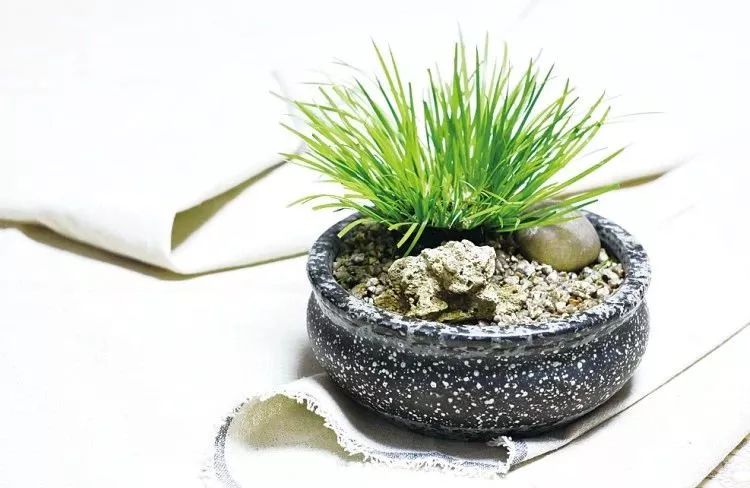 冬天没个好玩的地方,冬天没有好玩的该玩什么