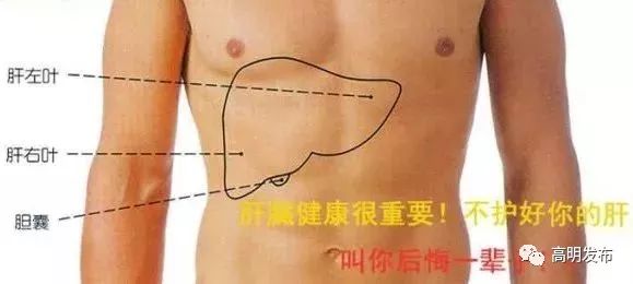 熬夜把肝损伤了怎么养肝护肝,肝不好10大征兆图怎么养肝护肝