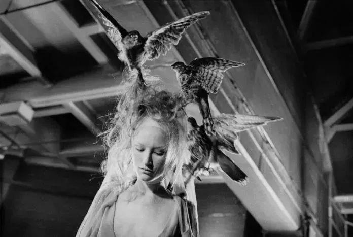 闪电麦昆的视频,麦昆现在的消息