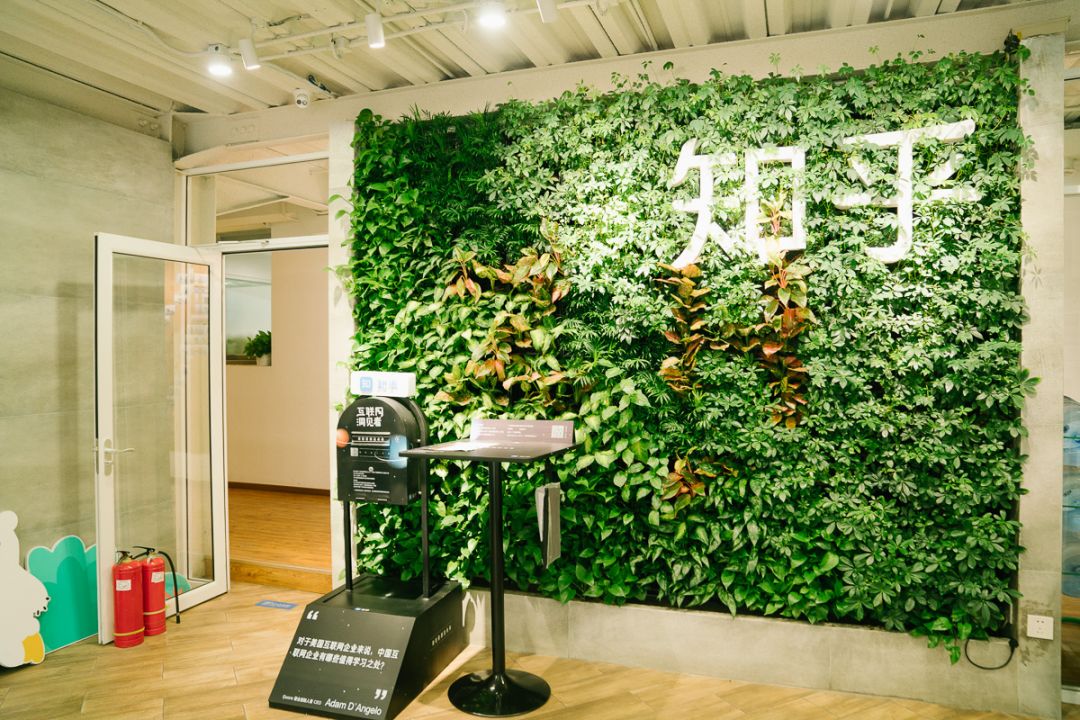 海盗船长VS催眠大师｜MODERNICON