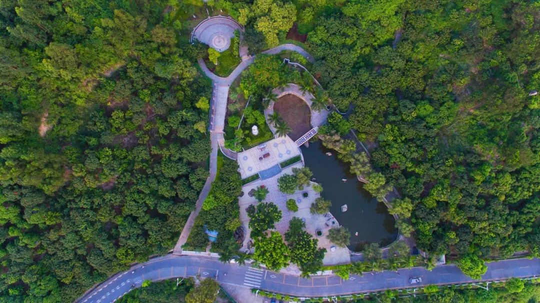 这里是新桥,这里是重庆