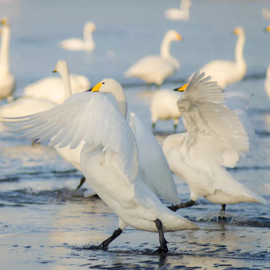 最具幸福感的县级市中唯一一座上榜的北方小城，光是海鲜就能吃到你激灵！