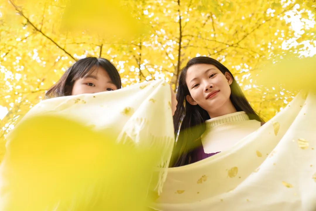 “妈，我在华师看了一场金黄色的雪！”