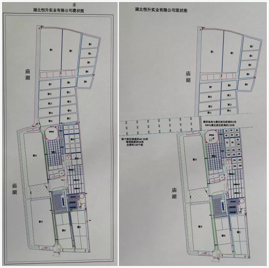 谁杀死了“大鱼”？——生死中华鲟