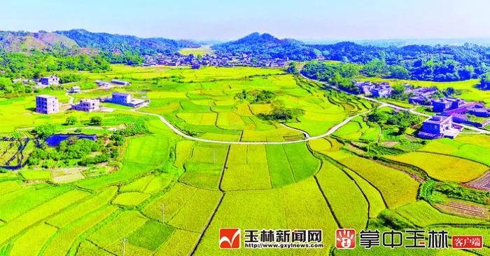 你真的了解博白吗？来了解一下！