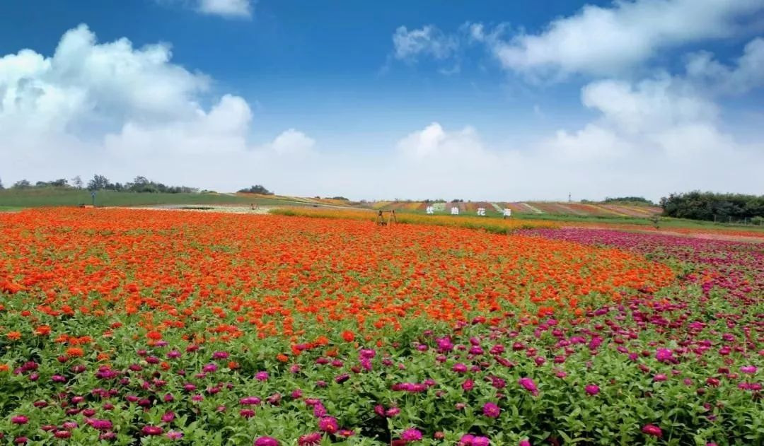 句容最美风景区,你还不知道有哪些美景